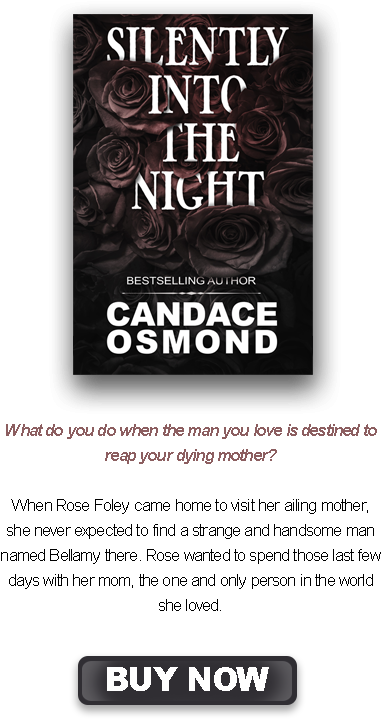 Sitn Write Up - Silently Into The Night Ebook (500x750), Png Download