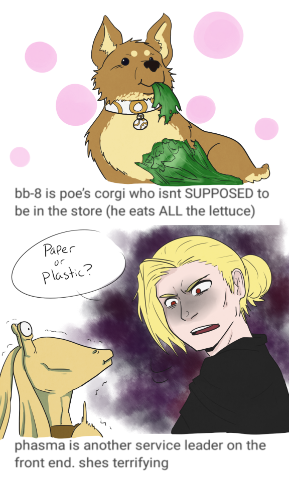 Star Wars Grocery Store Au What The Fuck Visual Version (576x960), Png Download