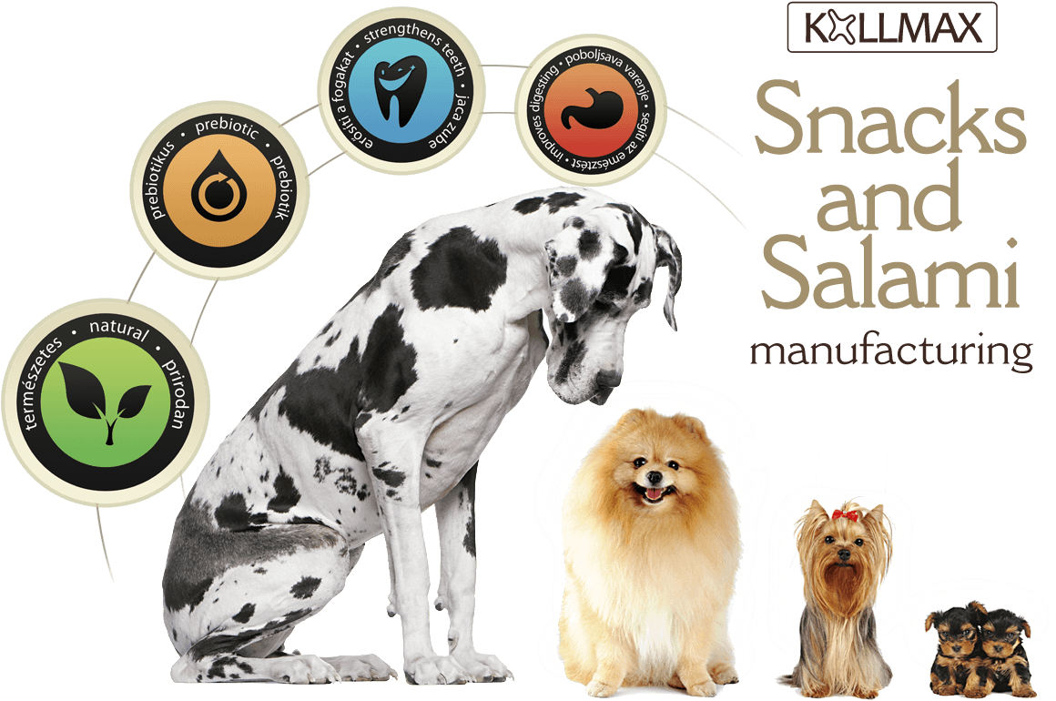 Dog - Salami (1201x807), Png Download