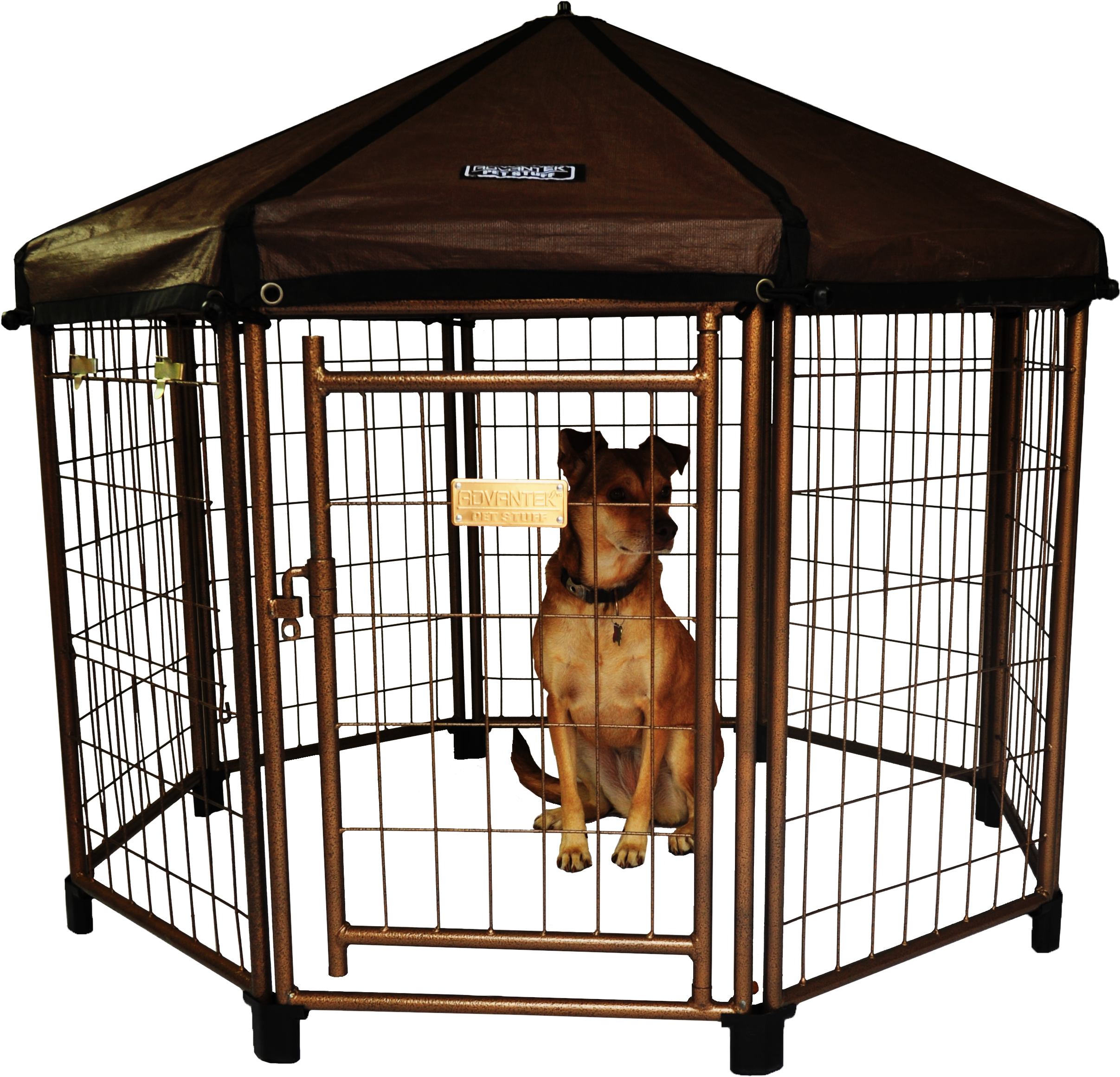outdoor dog gazebo
