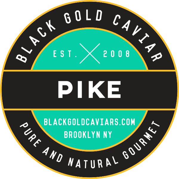 Pike (600x600), Png Download