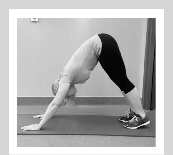 Traditional Pike - Press Up (713x641), Png Download