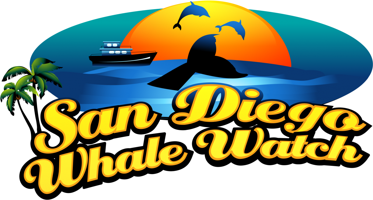 San Diego Whale Watch (1280x717), Png Download