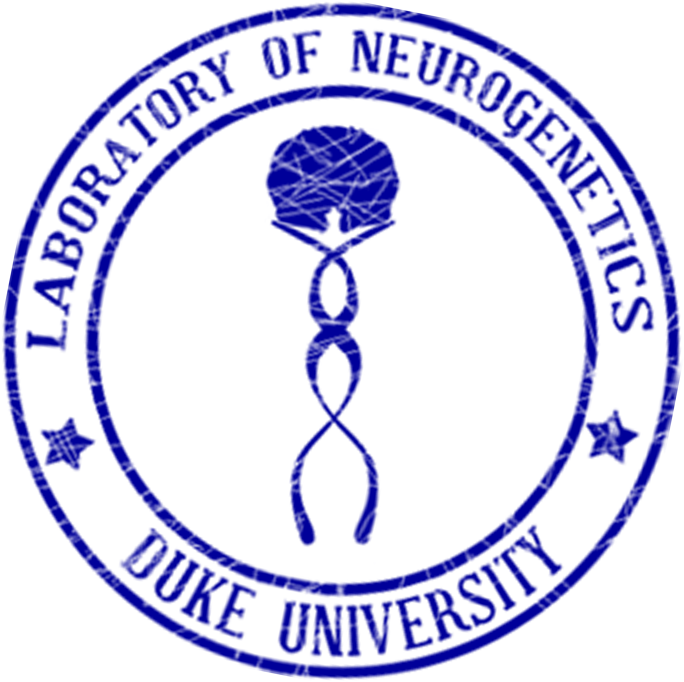 Long Logo - Division Of City Schools Valenzuela Logo (2616x2532), Png Download