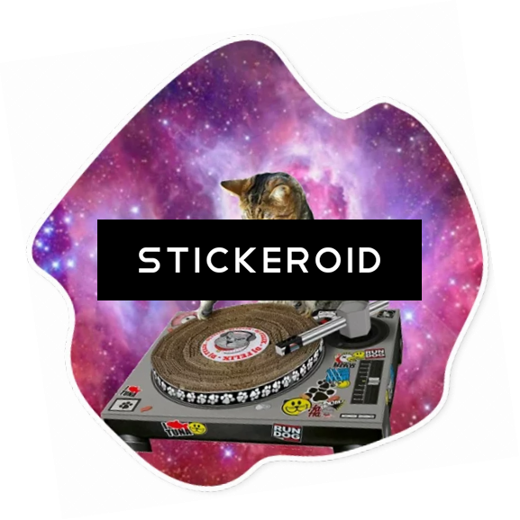 Dj Котодиджей - Suck Uk Cat Playhouse Cat Scratch (577x578), Png Download