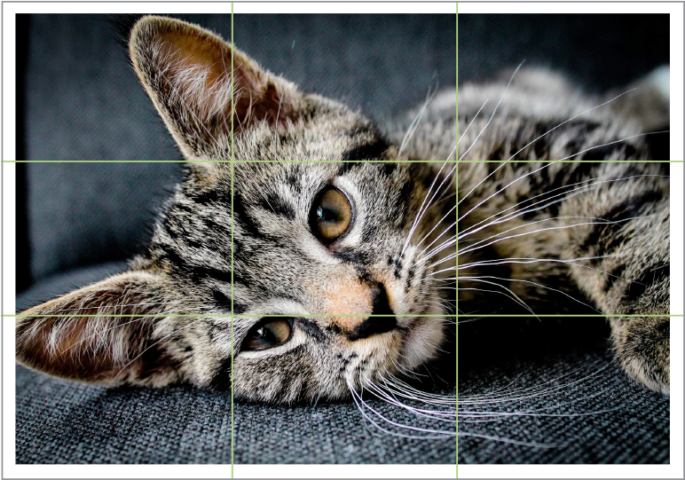 Camera Shake Is One Of The Biggest Bugbears For Photographers (800x570), Png Download