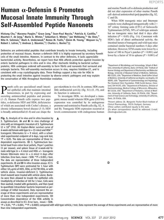 Document (729x929), Png Download