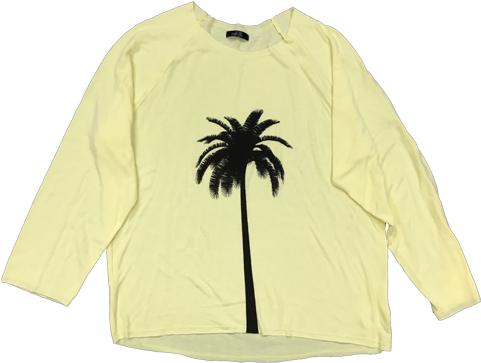 Avp Wmns Palm Tree Raglan V=1467152259 - Woman (500x667), Png Download