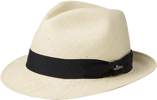 Chapeu De Pagodeiro (600x600), Png Download