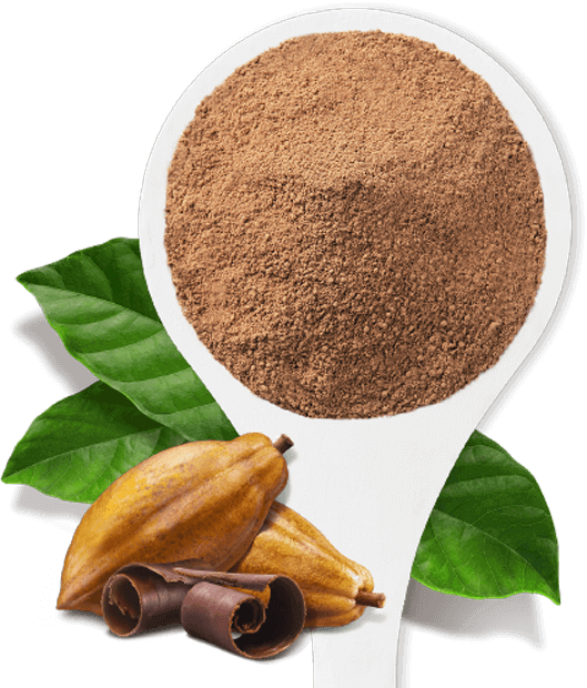 Globe For The Highest-quality Organic Superfoods To - Corporate Identity (529x620), Png Download