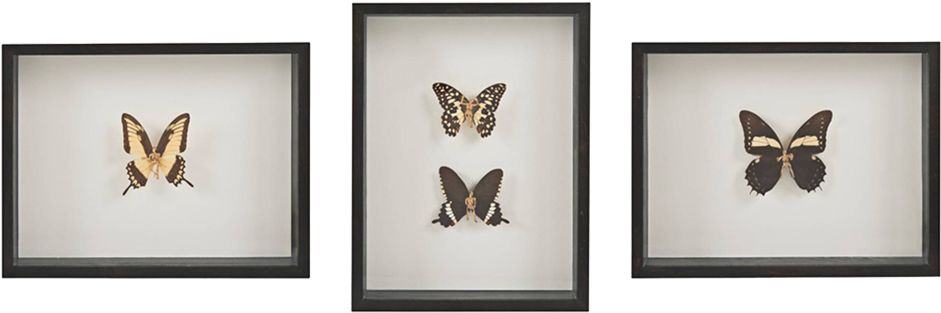 Beyond The Fairy Tale / Gold - Papilio Machaon (940x410), Png Download