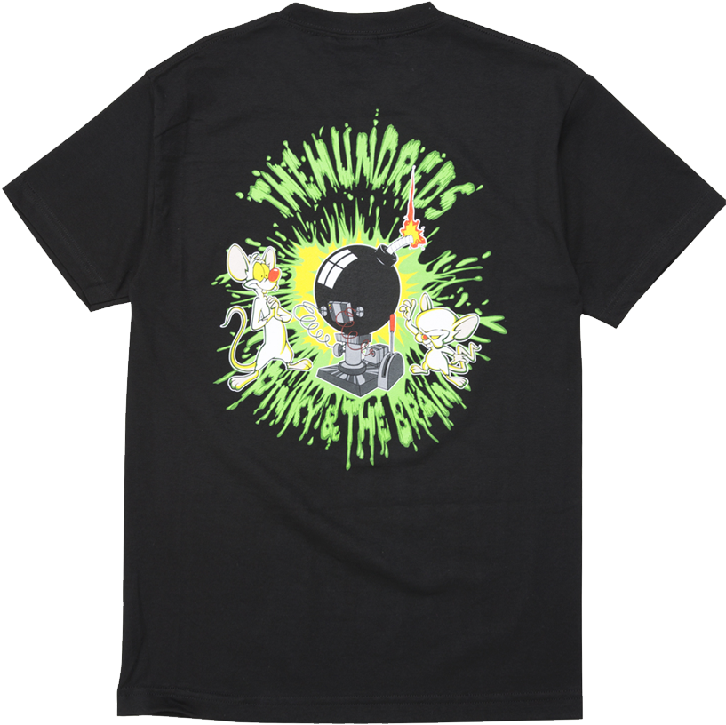 Pink And The Brain T-shirt - T-shirt (1080x1080), Png Download