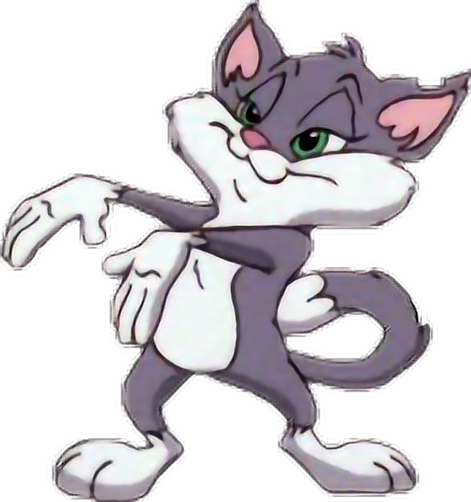 Animaniacs (684x728), Png Download