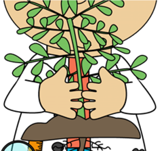 Plant Science Cliparts - Metabólitos Secundários Em Plantas (640x480), Png Download