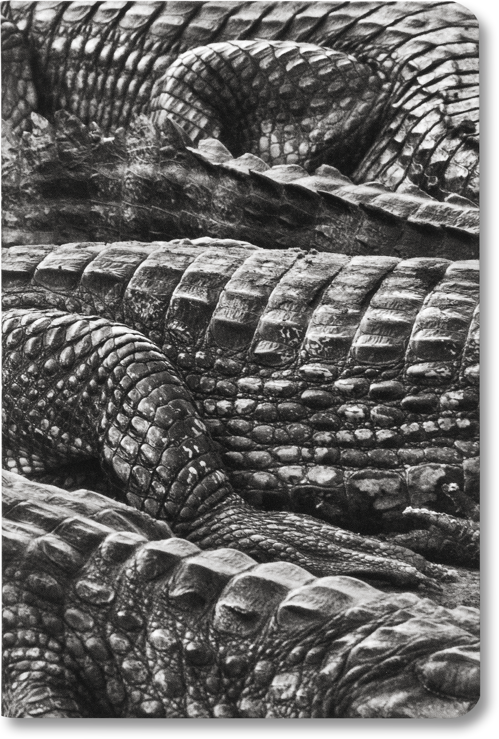 Blank Notebook, Pocket Size - Sebastião Salgado (1640x2411), Png Download