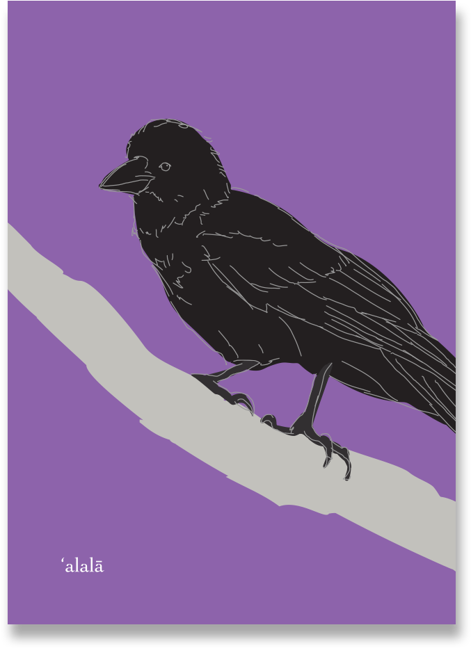 Alala Notecard - Throw Pillow (1000x1000), Png Download