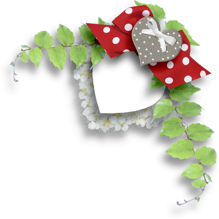 Christmas Decoration (770x770), Png Download