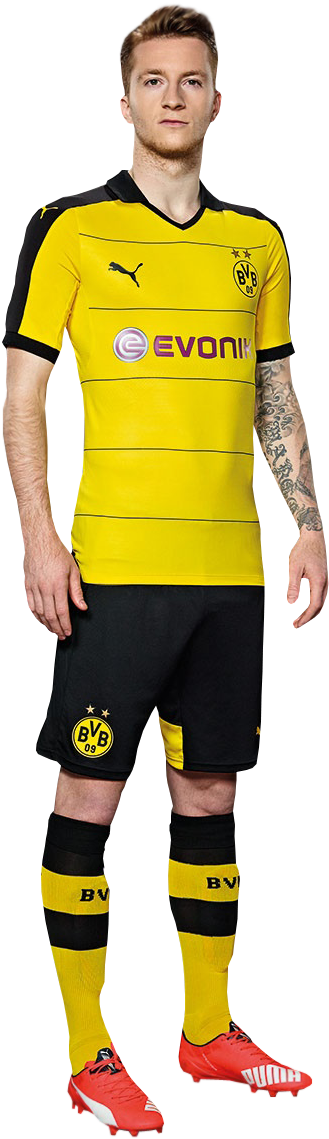 Marco Reus Render - Borussia Dortmund (348x1150), Png Download