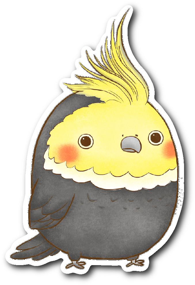 Cockatiel Sticker - Cockatiel (1064x1064), Png Download