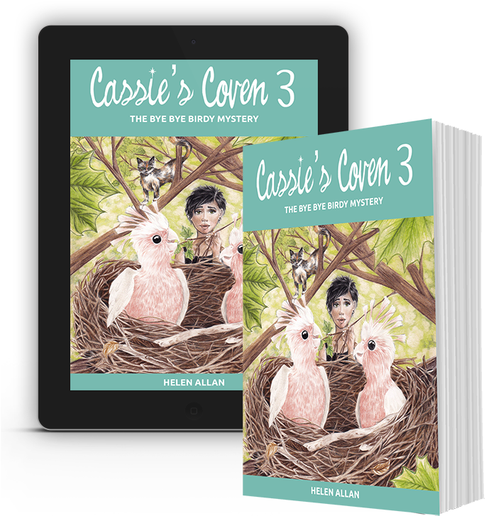 Cassie's Coven By Helen Allan - Cockatiel (800x800), Png Download