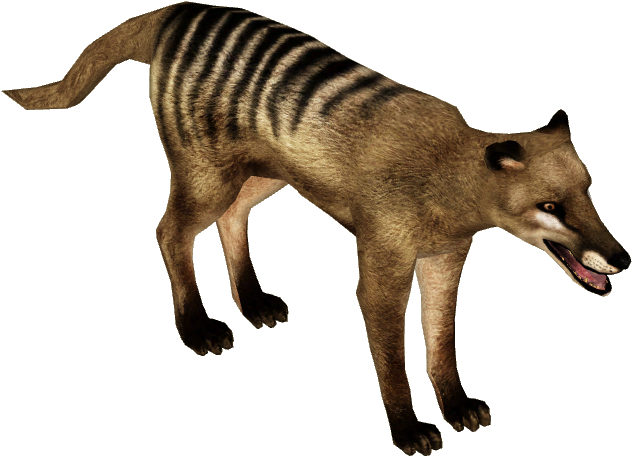 Thylacine (635x635), Png Download