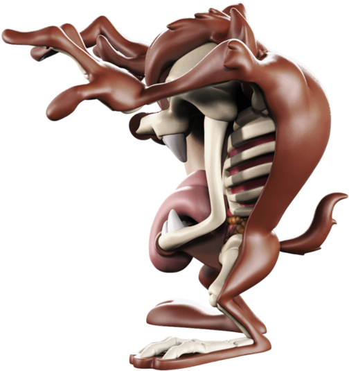 Larger / More Photos - Tasmanian Devil (800x800), Png Download