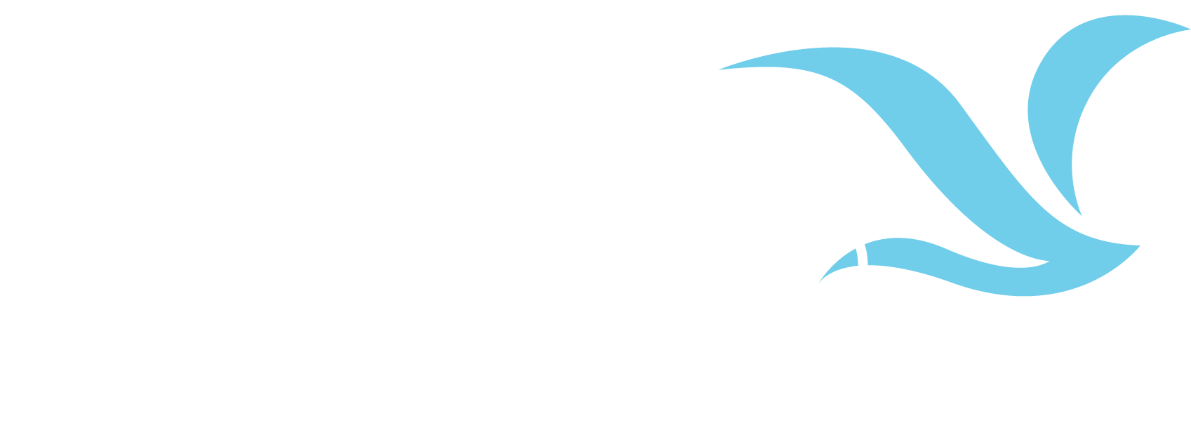 Email - Info@agingahead - Org - Poster (1697x636), Png Download