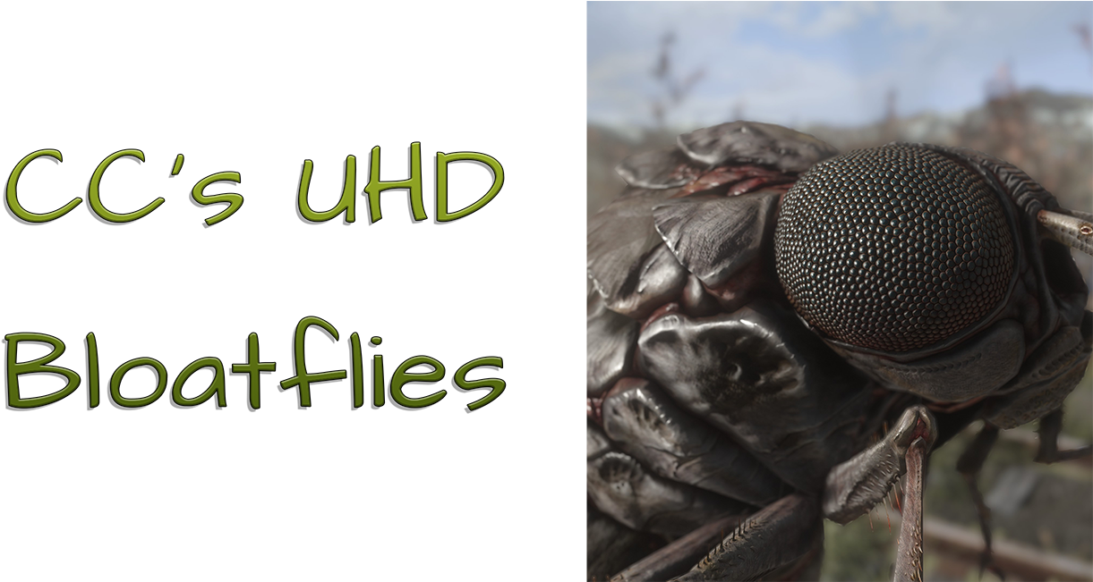 Straight Donations Accepted - House Fly (1300x650), Png Download