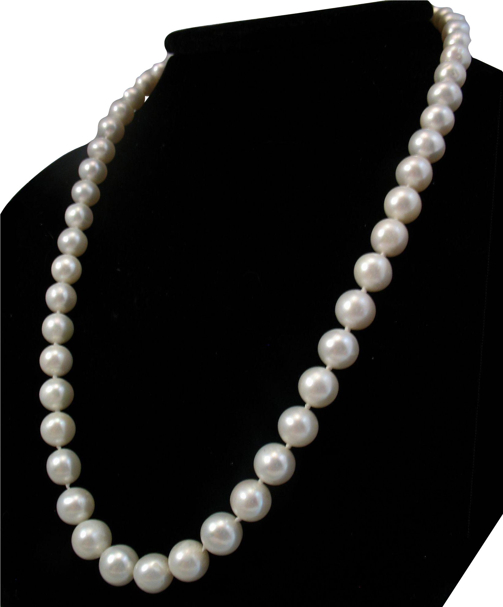 This Strand Of Pearls Measures 18 Inches Long And Is (1982x1982), Png Download