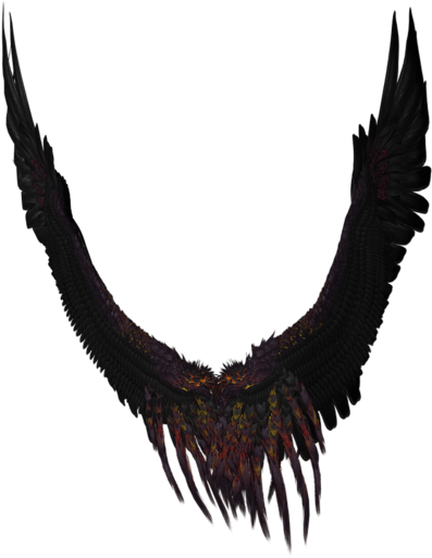 Long Black And Purple Wings (800x533), Png Download