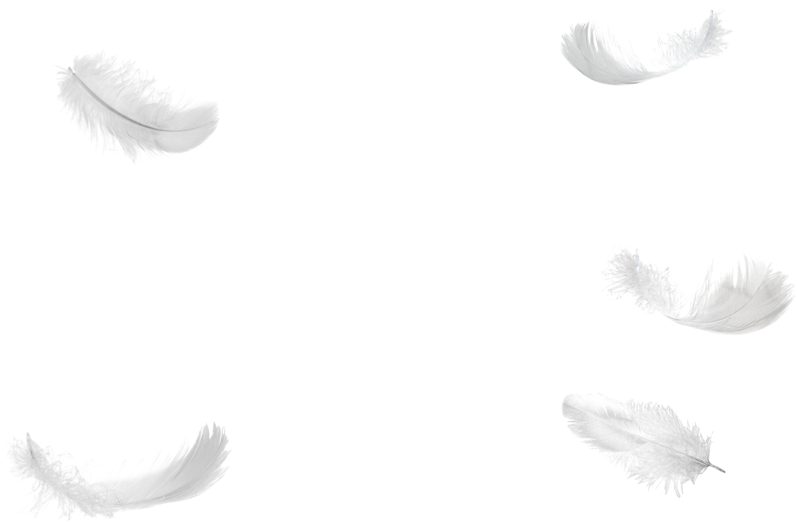 1495816576five Feathers Falling No Background Png - Portable Network Graphics (1600x1200), Png Download