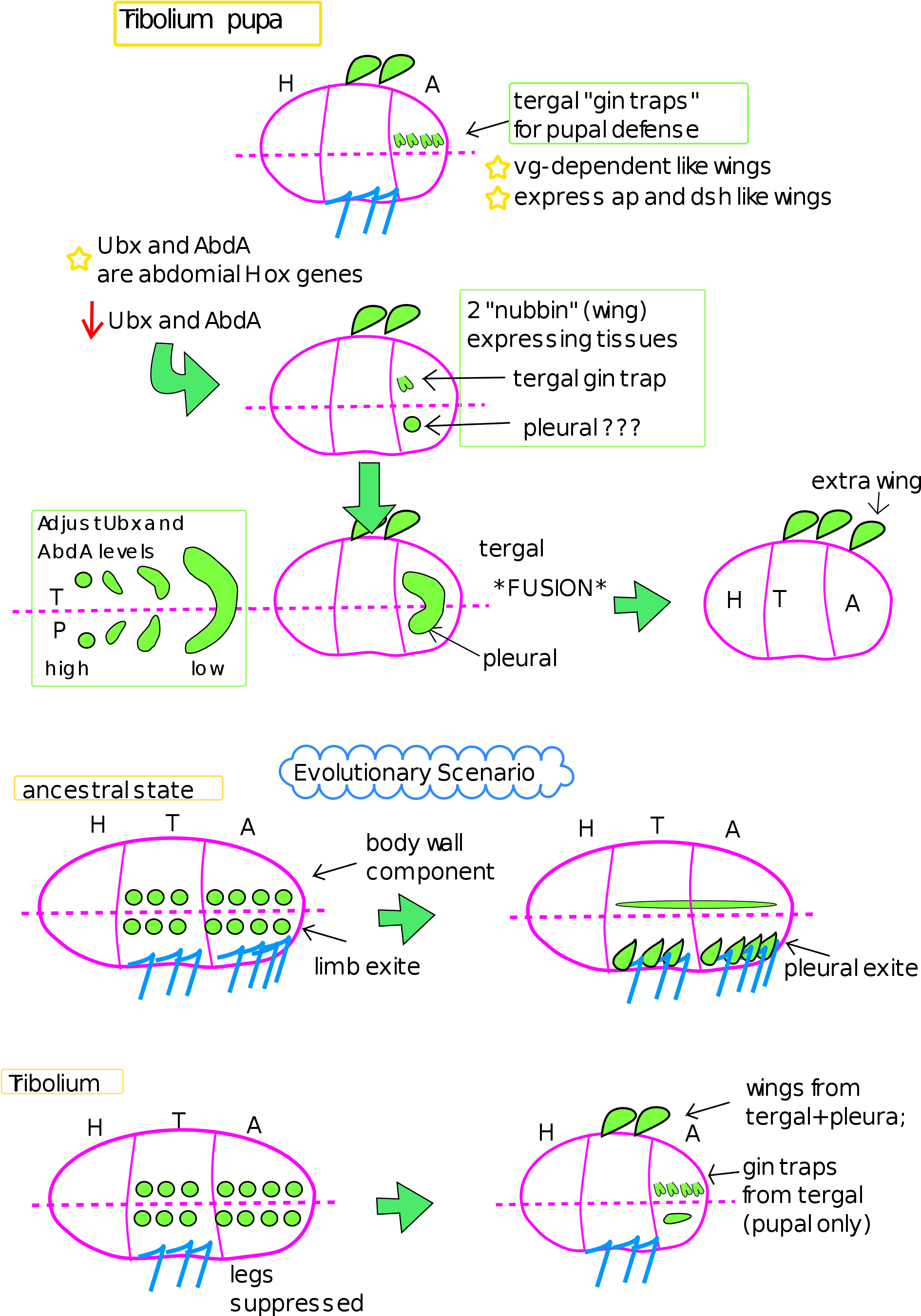 Open - Graphics (2000x2828), Png Download