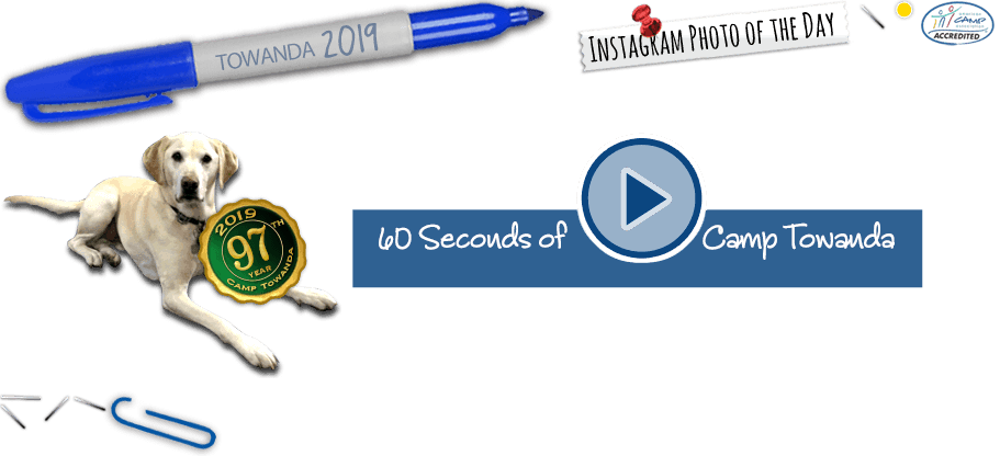 Camp Towanda Background Bits Pre Load - Dog Catches Something (911x416), Png Download