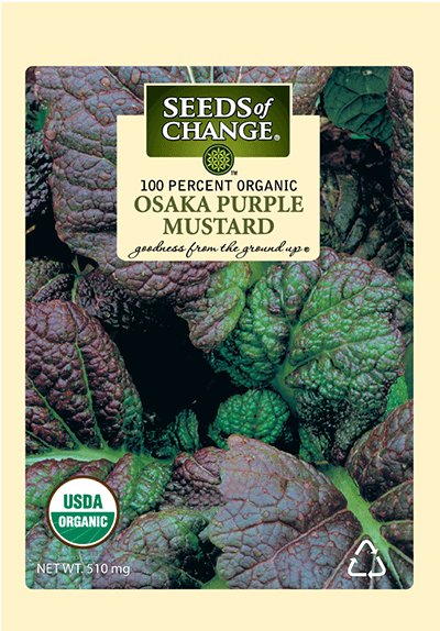 Organic Osaka Purple Mustard Seeds - Seeds Of Change 21076 Organic Zesty Cln Quinoa Blend (573x573), Png Download