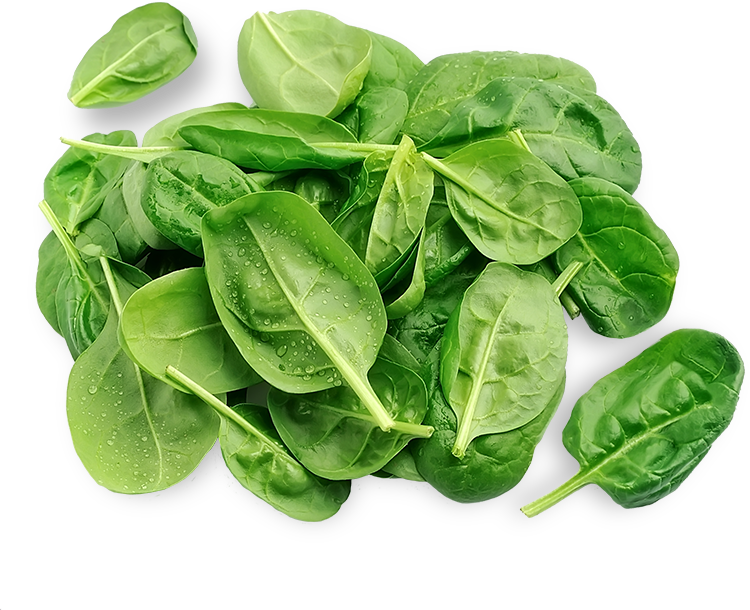 3 - Spinach (750x610), Png Download