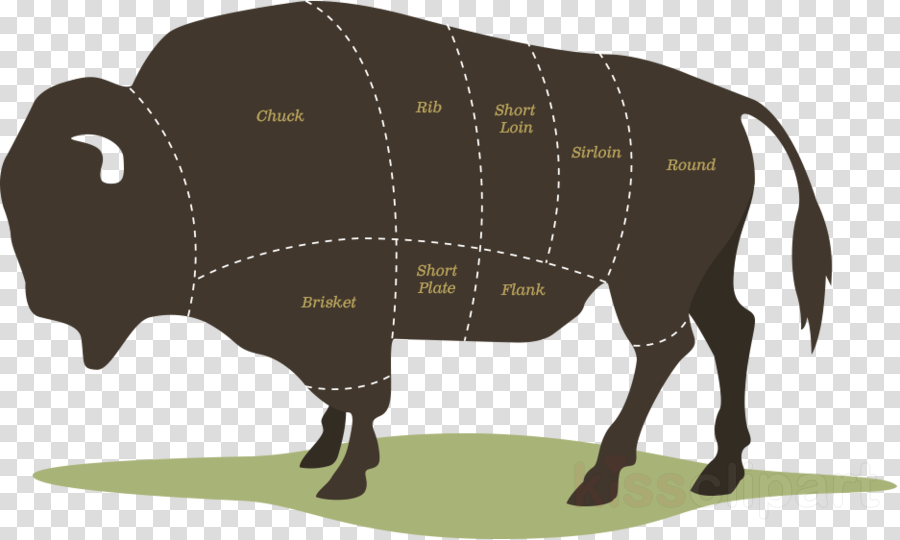 Bison Meat Cuts Clipart American Bison Steak Meat - North Dakota Farm Bison (900x540), Png Download