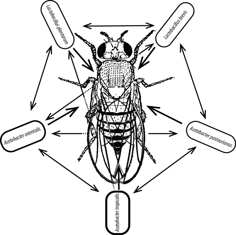 Current Projects - Superman (770x768), Png Download