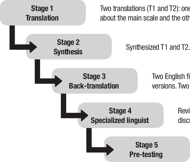 Graphic Representing Stages Of The Cross-cultural Adaptation - Cross Cultural Stages (659x560), Png Download