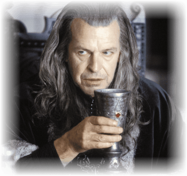 When A Leader Doesn't Lead - John Noble Lord Of The Rings (640x603), Png Download