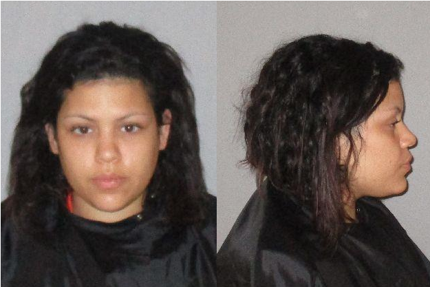 Palm Coast Woman Arrested On Three Counts Of Animal - Palm Coast Observer (870x580), Png Download