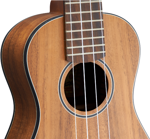Headstock - Acoustic Guitar (991x481), Png Download