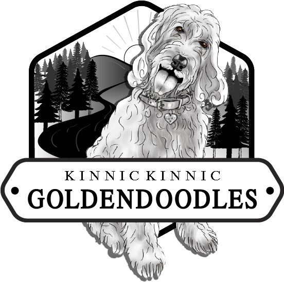 River Falls Wi - Illustration (551x590), Png Download