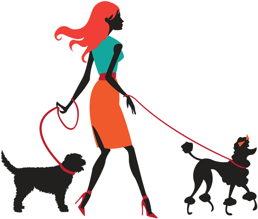 Cosmopolitan Companion Dogs - Portable Network Graphics (1050x888), Png Download