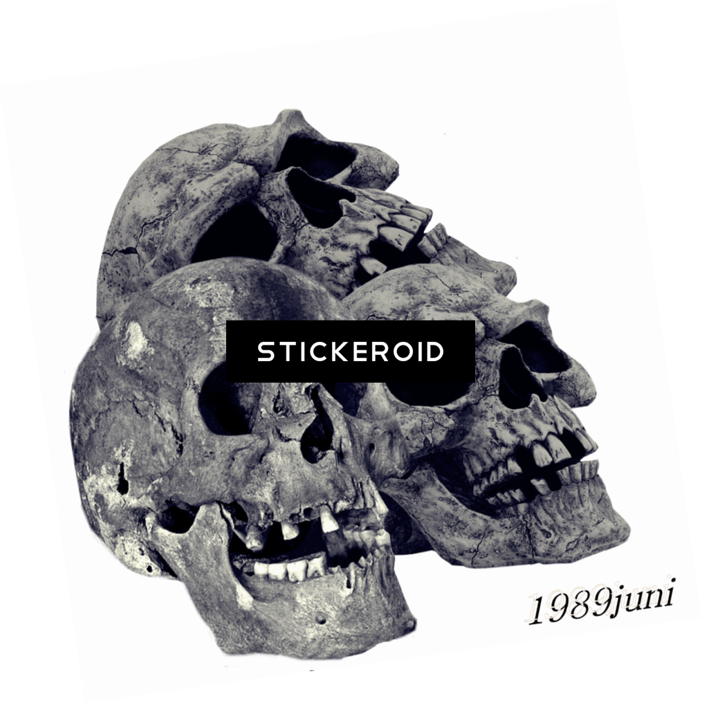 Pile Of Skulls Fantasy Skull - Skull (1015x1016), Png Download