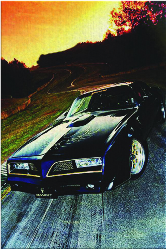 Bandit Canvas Wrap - Pontiac Firebird (900x900), Png Download