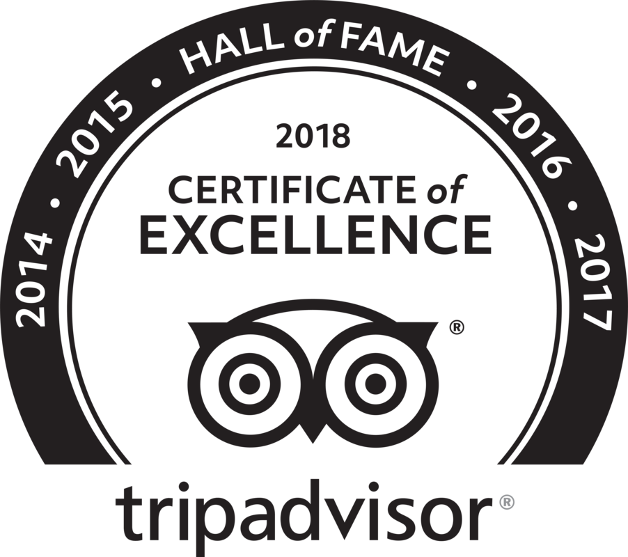 2018 Certificate Of Excellence, Hall Of Fame, Windmills - Tripadvisor Certificate Of Excellence Hall Of Fame (902x800), Png Download