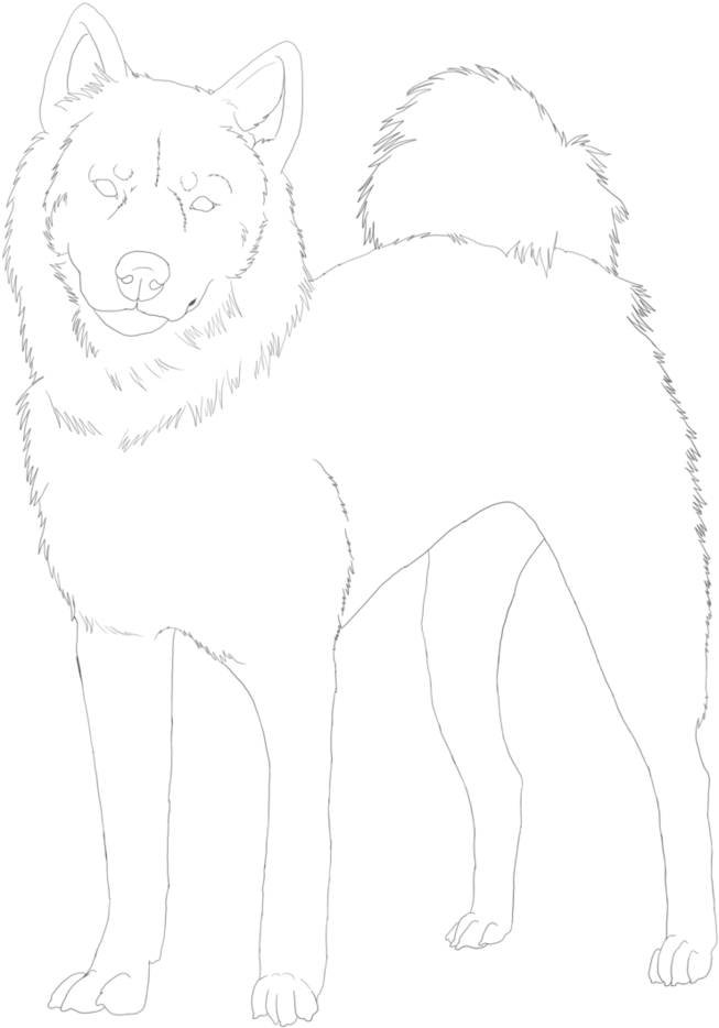 Shiba Inu Line Art - Line Art (794x1007), Png Download