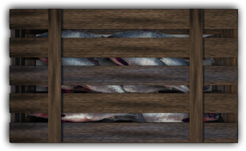 Crates-fish 4e - Plank (900x574), Png Download
