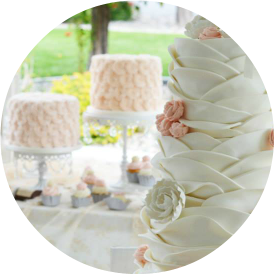 We Have Many Packages For You To Choose From And We - Portable Network Graphics (569x563), Png Download