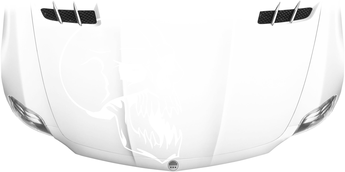 Autofolie Für Die Motorhaube Mit Totenkopf - Blumenranke Motorhaube (1200x600), Png Download